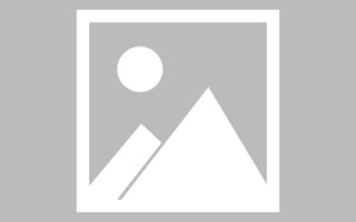 四川网页设计英文默认字体（网页设置英文转换中文）